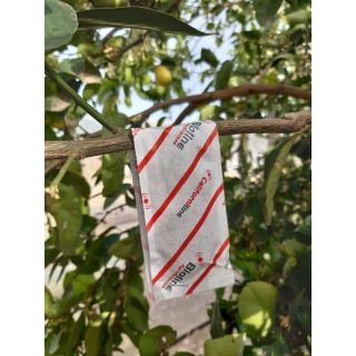 Compra CALIFORNILINE (100 Sobres Gemini 25.000 Ind.). en la tienda online Fito Agrícola