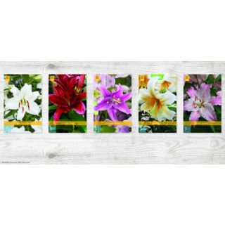 Compra LILIUM ORIENTAL Cofre (100 Unid.) en la tienda online Fito Agrícola