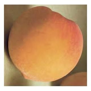 Compra MELOCOTONERO FREDERICA (Catherine) en la tienda online Fito Agrícola