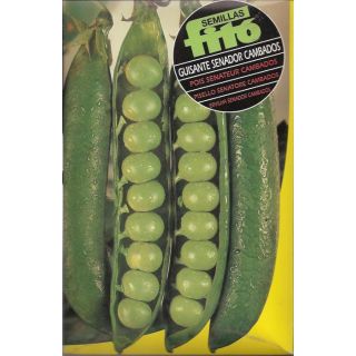 Compra GUISANTE SENADOR CAMBADOS (1 Kgr.) en la tienda online Fito Agrícola