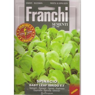 Compra ESPINACA EMILIA F1 BABY LEAF (10 gr.). en la tienda online Fito Agrícola