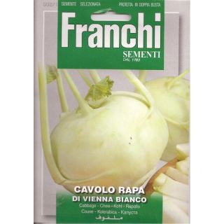 Compra COLIRRÁBANO BLANCO DE VIENA (6 gr.) en la tienda online Fito Agrícola