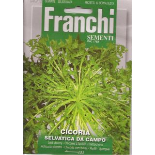 Compra ACHICORIA SELVATICA DE CAMPO (12 gr.). en la tienda online Fito Agrícola