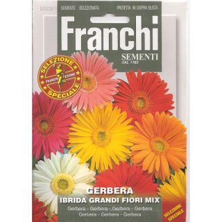 Compra GERBERA DE FLOR GRANDE MULTICOLOR F1 (0,2 gr.). en la tienda online Fito Agrícola