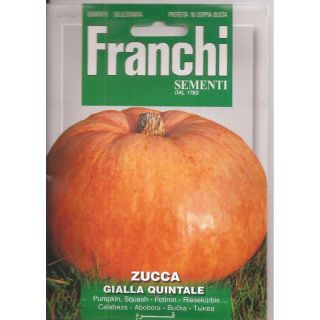 Compra CALABAZA AMARILLA QUINTAL (4 gr.). en la tienda online Fito Agrícola