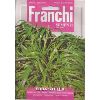 Compra HIERBA ESTRELLA (2 gr.). en la tienda online Fito Agrícola