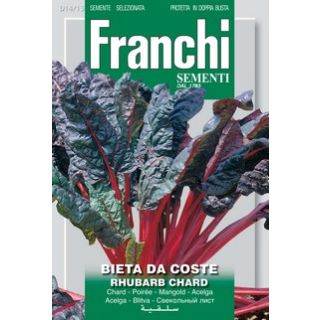 Compra ACELGA ROJA RHUBARB CHARD BABY LEAF (8 gr.). en la tienda online Fito Agrícola