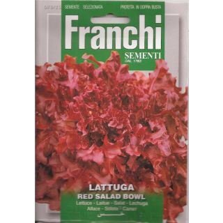 Compra LECHUGA RED SALAD BOWL (7 gr.). en la tienda online Fito Agrícola