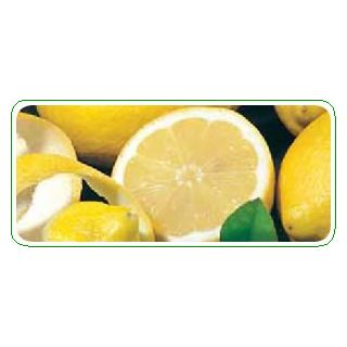 Compra LIMONERO VERNA 51 - 25 en la tienda online Fito Agrícola