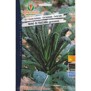 Compra COL LACINIADA NEGRA DE TOSCANA PRECOZ (6 gr.). en la tienda online Fito Agrícola