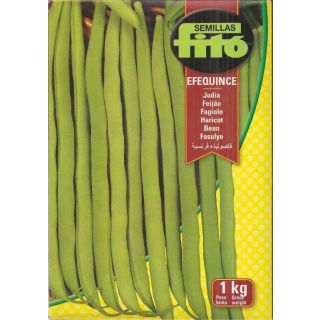 Compra JUDÍA EFEQUINCE (1 Kgr.). en la tienda online Fito Agrícola