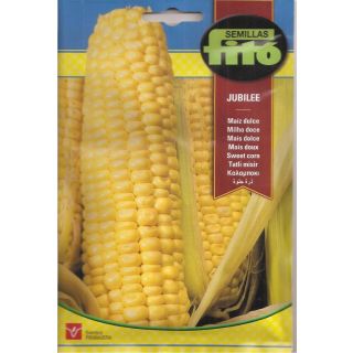 Compra MAÍZ DULCE JUBILEE (10 gr.) en la tienda online Fito Agrícola