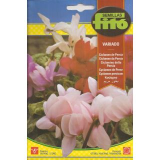 Compra CICLAMEN DE PERSIA VARIADO (13 Semillas) en la tienda online Fito Agrícola