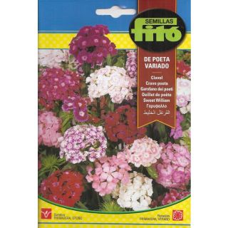 Compra CLAVEL DE POETA VARIADO (4 gr.). en la tienda online Fito Agrícola