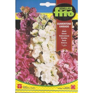 Compra ALHELÍ CUARENTENO VARIADO (0,8 gr.) en la tienda online Fito Agrícola