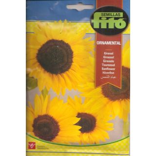 Compra GIRASOL ORNAMENTAL (10 gr.). en la tienda online Fito Agrícola