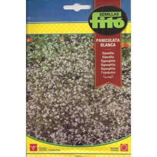 Compra GIPSOFILA PANICULATA BLANCA (1 gr.). en la tienda online Fito Agrícola
