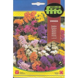 Compra ESTATICE SINUATA VARIADO (0,77 gr.). en la tienda online Fito Agrícola