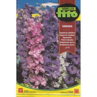 Compra ESPUELA DE CABALLERO VARIADA (2 gr.). en la tienda online Fito Agrícola