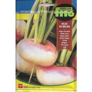 Compra NABO DE MESA ROJO DE MILAN (20 gr.) en la tienda online Fito Agrícola