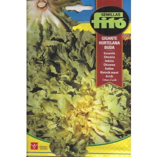 Compra ESCAROLA GIGANTE HORTELANA DE BUDA (8 gr.). en la tienda online Fito Agrícola