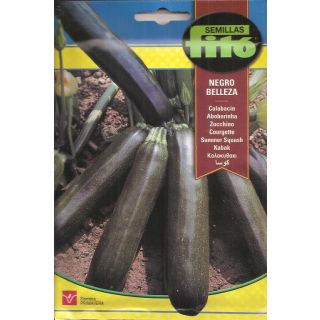 Compra CALABACÍN NEGRO BELLEZA ó BLACK BEAUTY (10 gr.). en la tienda online Fito Agrícola
