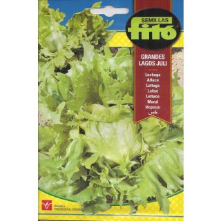 Compra LECHUGA GRANDES LAGOS JULI (6 gr.). en la tienda online Fito Agrícola