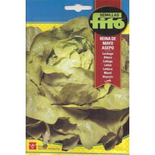 Compra LECHUGA REINA DE MAYO ASEPO (7 gr.). en la tienda online Fito Agrícola