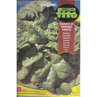 Compra ESPINACA GIGANTE DE INVIERNO SANTOS (20 gr.). en la tienda online Fito Agrícola