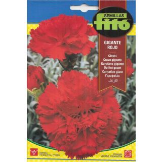 Compra CLAVEL GIGANTE ROJO (0,8 gr.). en la tienda online Fito Agrícola