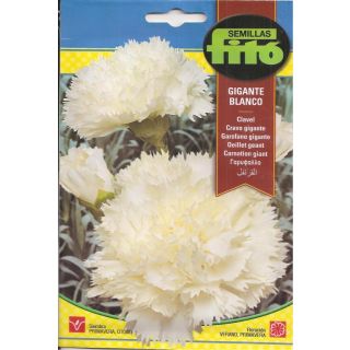 Compra CLAVEL GIGANTE BLANCO (0,8 gr.). en la tienda online Fito Agrícola