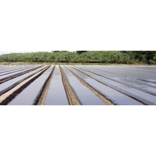 Compra SOTRAFILM NG LINEAL (60 gg) - ANCHO 1,50 METROS en la tienda online Fito Agrícola