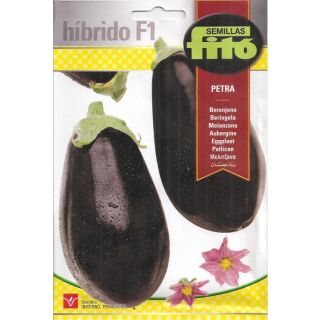 Compra BERENJENA PETRA F1 (Cerca de 70 Semillas). en la tienda online Fito Agrícola