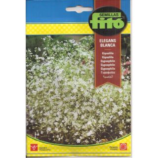 Compra GIPSOFILA ELEGANS BLANCA (10 gr.). en la tienda online Fito Agrícola