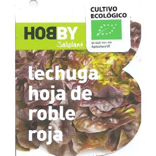Compra LECHUGA HOJA DE ROBLE ROJA ECOLÓGICA MSE6 en la tienda online Fito Agrícola