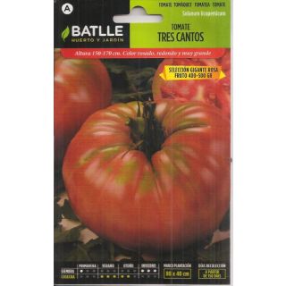 Compra TOMATE TRES CANTOS Sel. Gigante Rosa (1 gr.) en la tienda online Fito Agrícola