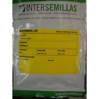 Compra ACELGA SUIZA AMARILLA BABY LEAF (50 gr.). en la tienda online Fito Agrícola