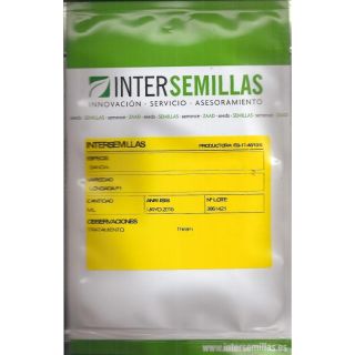 Compra SANDÍA LONGADA F1 (1.000 Semillas). en la tienda online Fito Agrícola