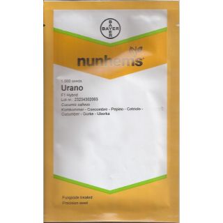 Compra PEPINO URANO F1 (1.000 Semillas) en la tienda online Fito Agrícola