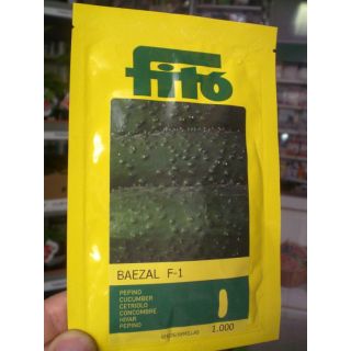 Compra PEPINO BAEZAL F1 (1000 Semillas) en la tienda online Fito Agrícola