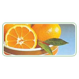 Compra MANDARINO SATSUMO OWARI - 17 en la tienda online Fito Agrícola