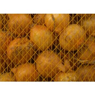 Compra CEBOLLA PAJA VIRTUDES 14/21 (25 Kgr.). en la tienda online Fito Agrícola