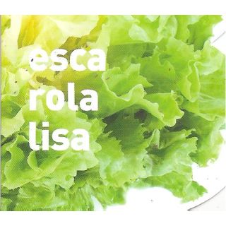Compra ESCAROLA LISA ECOLÓGICA MSE6 en la tienda online Fito Agrícola