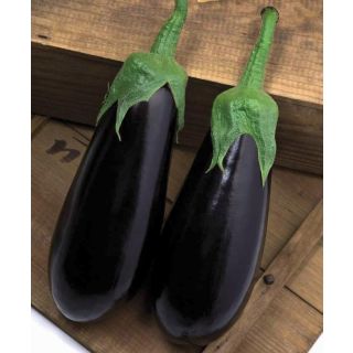 Compra BERENJENA CRISTAL F-1 EPS104 en la tienda online Fito Agrícola