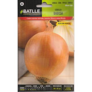 Compra CEBOLLA BABOSA Sel. Primosa (4 gr.) en la tienda online Fito Agrícola