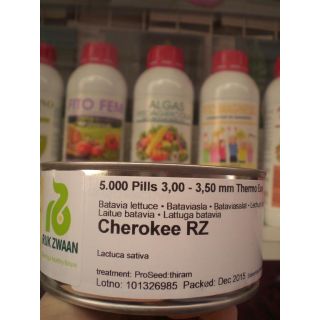Compra LECHUGA CHEROKEE RZ Pildorada (5.000 Semillas). en la tienda online Fito Agrícola