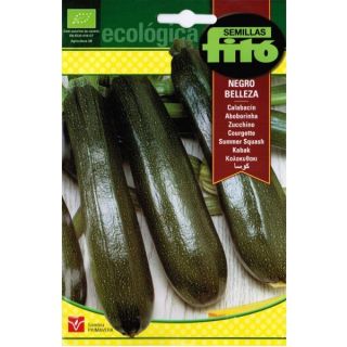 Compra CALABACÍN NEGRO BELLEZA ECOLOGICO (6 gr.). en la tienda online Fito Agrícola