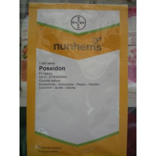 Compra PEPINO POSEIDON F1 (1.000 Semillas) en la tienda online Fito Agrícola