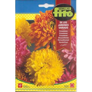 Compra CRISANTEMO DE LOS JARDINES VARIADO (2 gr.). en la tienda online Fito Agrícola