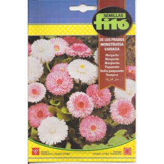 Compra MARGARITA DE LOS PRADOS MONSTRUOSA VARIADA (0,45 gr.). en la tienda online Fito Agrícola